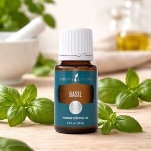 Young Living Basil Essential Oil 15ml Pure Aromatherapy Relaxation NEW